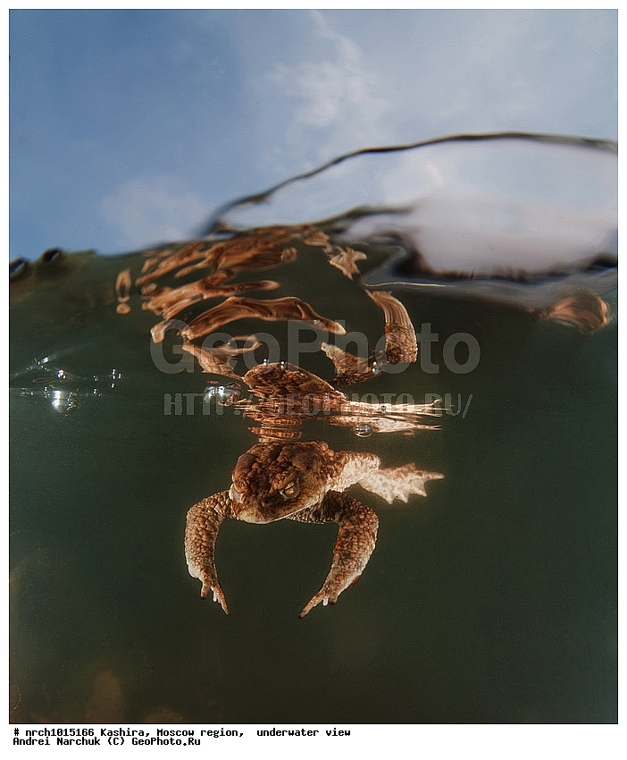 ��������� �����, ���������� �������, ���, �������, �� ���, ����, �����������, ���������