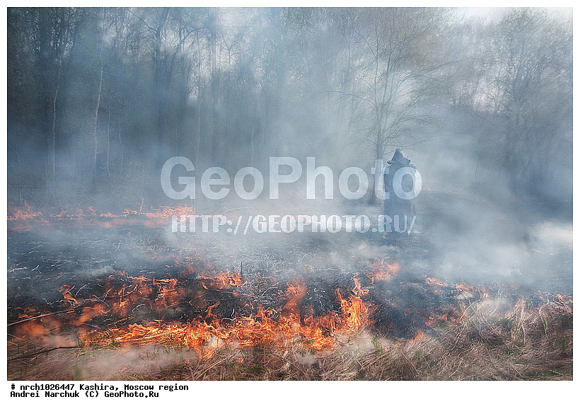 ��������� �����, ���������� �������, ����� �����, ���, �����, ���, �����������, �����