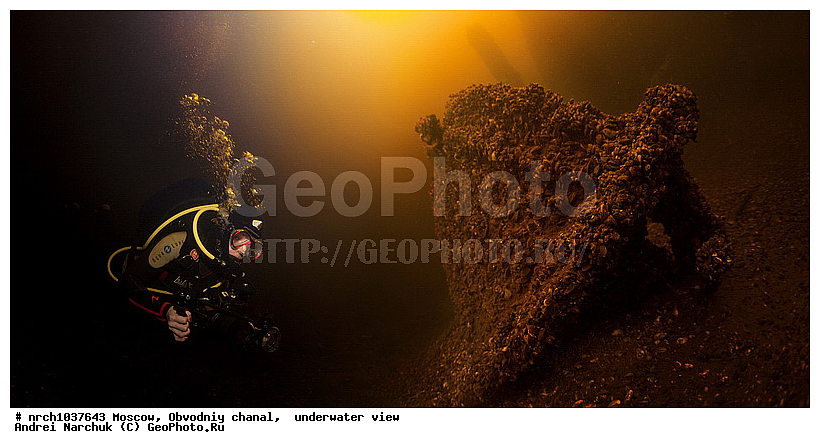 ������, ������-����, �������� �����, ���, �����, �� ���, ���������