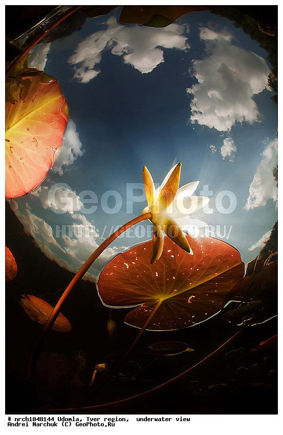 �������� �����, ������, ������������, ���, ��������, �� ���, �����, �����������, ���������