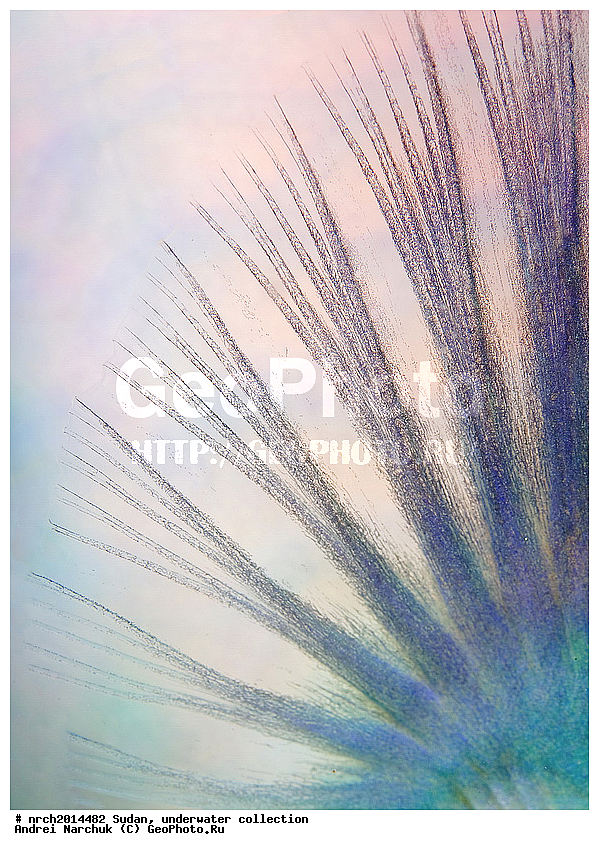 ������� ����, �����, ��������, ����, ��������� ���, �������, ��������, �������, �����, �����