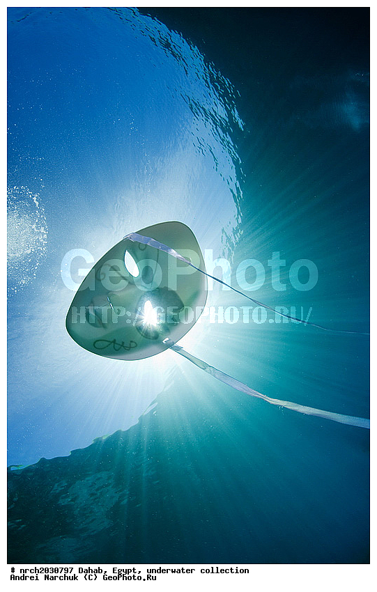 �����, ������, ��������� ���