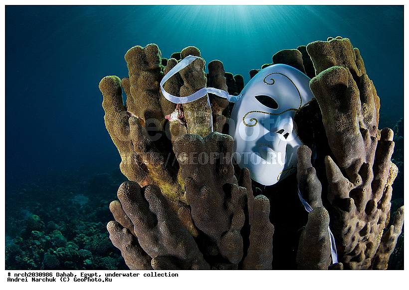 �����, ������, ��������� ���