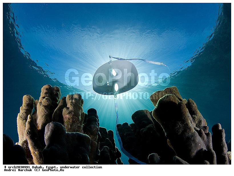 �����, ������, ��������� ���