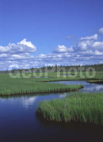 �����, ����������� �����, �����