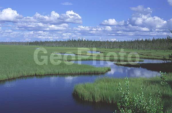 �����, ����������� �����, �����