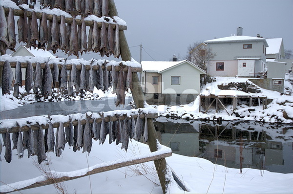 ����������� �������, ���������� ��������, �������� ��������, ������� ��������, ��������� ����, ����, �������, ������