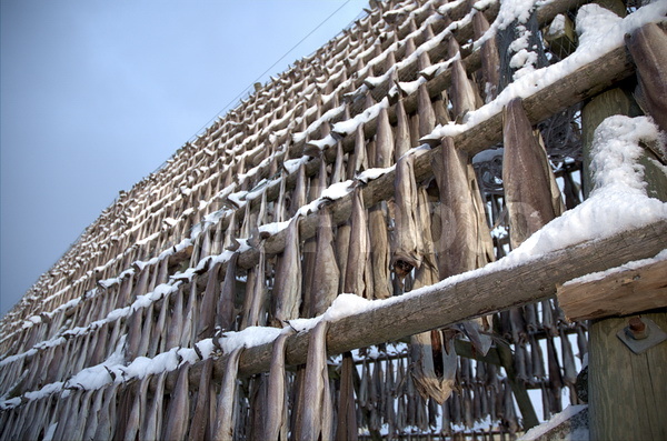 ����������� �������, ���������� ��������, �������� ��������, ������� ��������, ��������� ����, ����, �������, ������