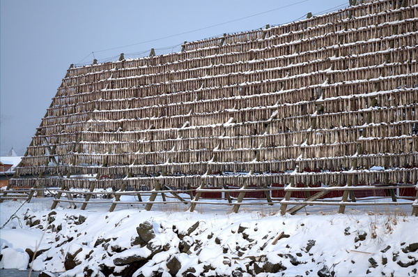 ����������� �������, ���������� ��������, �������� ��������, ������� ��������, ��������� ����, ����, �������, ������