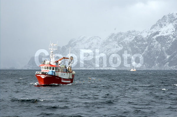 ����������� �������, ���������� ��������, �������� ��������, ������� ��������, ��������� ����, ����, �������, ������