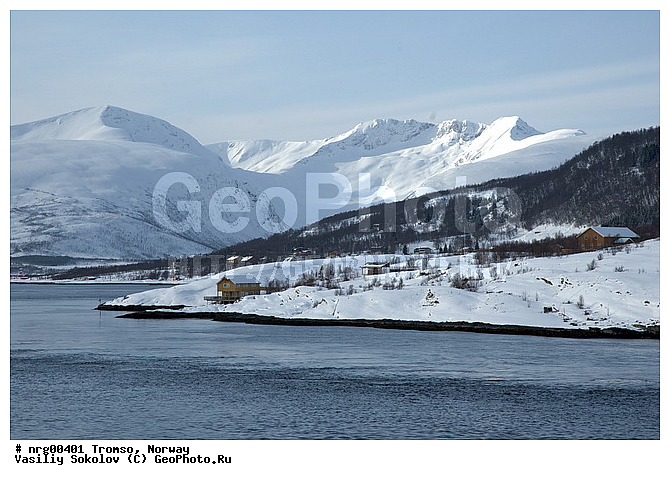 ��������� ����, ��������, �������� ���������, ������, ����, ����