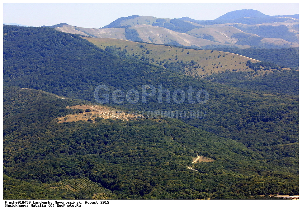 ������������, �����������, ������, ����, 2015, ������