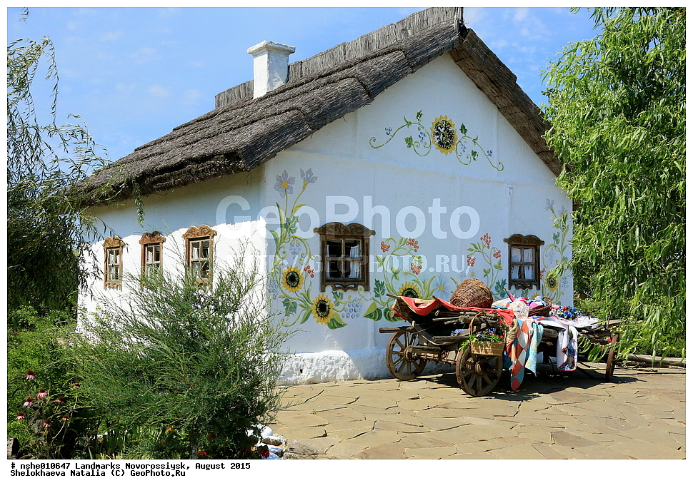 ������������, �����������, ������, ����, 2015, ������