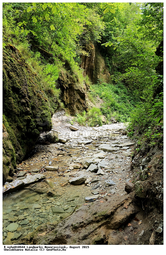 ������������, �����������, ������, ����, 2015, ������