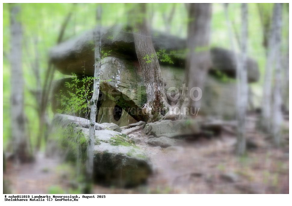 ������������, �����������, ������, ����, 2015, ������