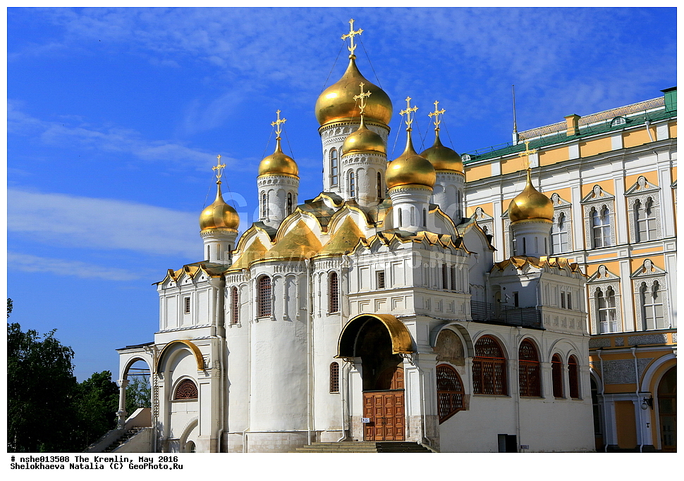 ������, ������, ������, ������� �������, ���, �����, 2016