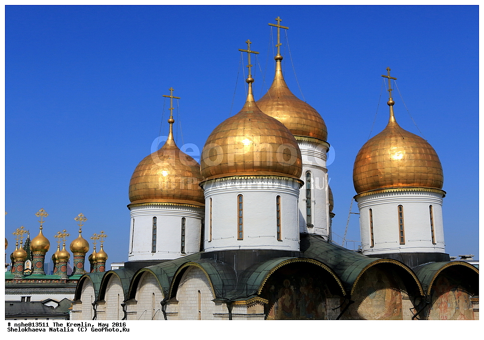 ������, ������, ������, ������� �������, ���, �����, 2016