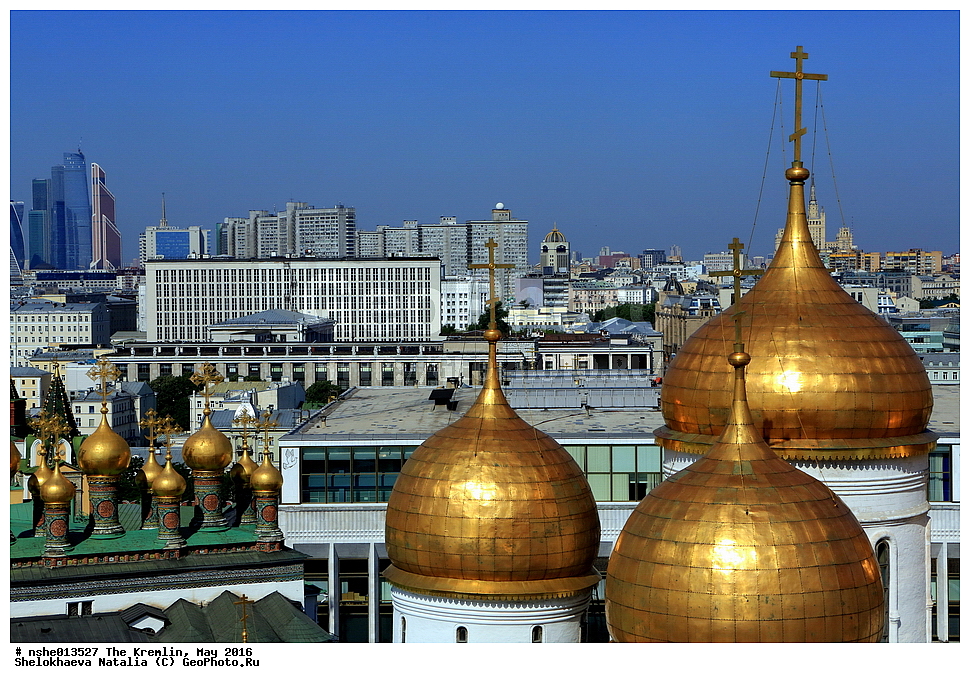 ������, ������, ������, ������� �������, ���, �����, 2016