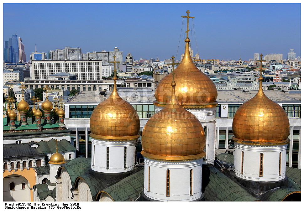 ������, ������, ������, ������� �������, ���, �����, 2016