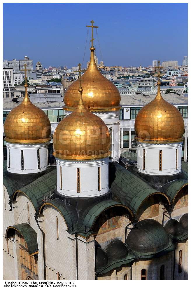 ������, ������, ������, ������� �������, ���, �����, 2016