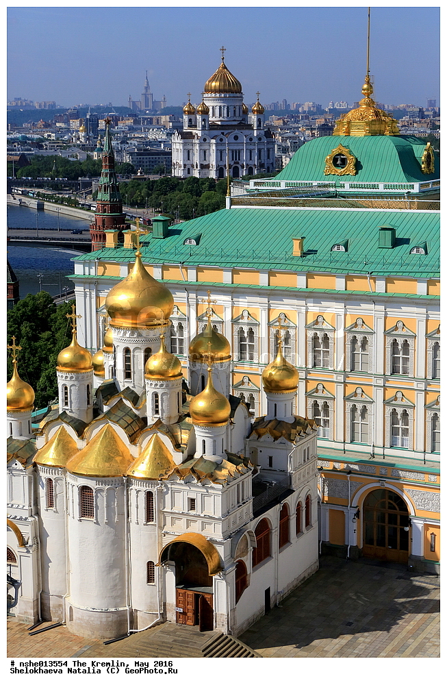 ������, ������, ������, ������� �������, ���, �����, 2016