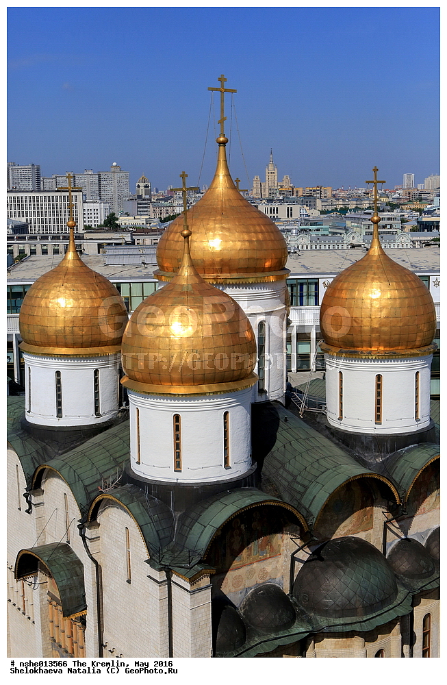 ������, ������, ������, ������� �������, ���, �����, 2016