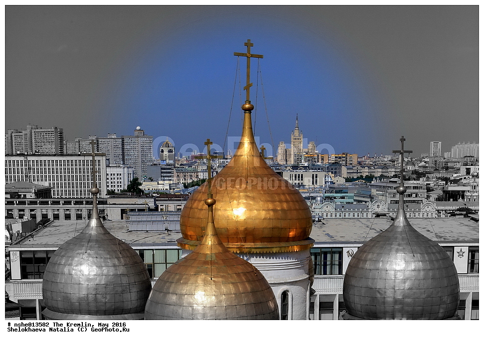 ������, ������, ������, ������� �������, ���, �����, 2016