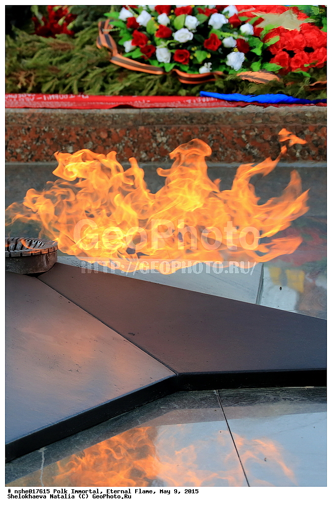 ����������� ����, ������ �����, 9 ���, ���, 2015