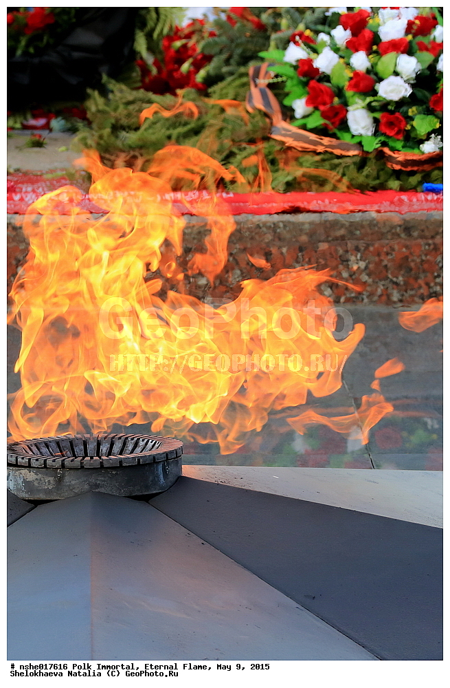 ����������� ����, ������ �����, 9 ���, ���, 2015