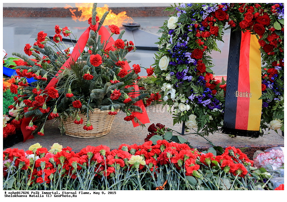 ����������� ����, ������ �����, 9 ���, ���, 2015