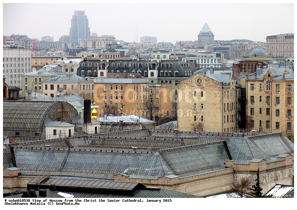 ������, ������, ���� ������ ���������, ��� ������, ������, ����, 2015 ���, �����