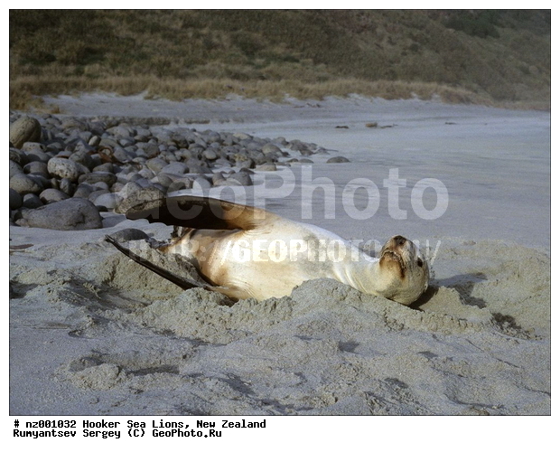 ������� ���, ����� ��������, ����� ��������, ���, �������������, ����, ������� ��������, ������� ���, ��������������, �����, �����, ����