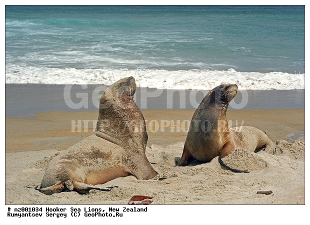 ������� ���, ����� ��������, ����� ��������, ���, �������������, ����, ������� ��������, ������� ���, ��������������, �����, �����, ����