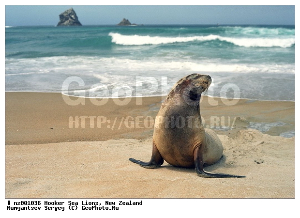 ������� ���, ����� ��������, ����� ��������, ���, �������������, ����, ������� ��������, ������� ���, ��������������, �����, �����, ����