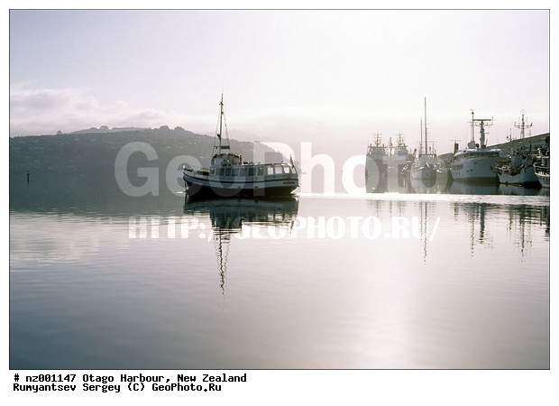 ����� ��������, ������, �����, ����������, ������, ���������, ��������, ����������� �������, ����