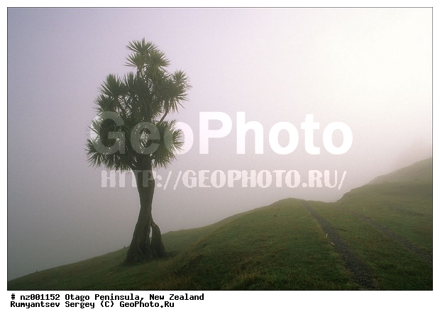 ����� ��������, �����, ��������� ������, �����, ��������� ������, ���������� �����, �����, �����