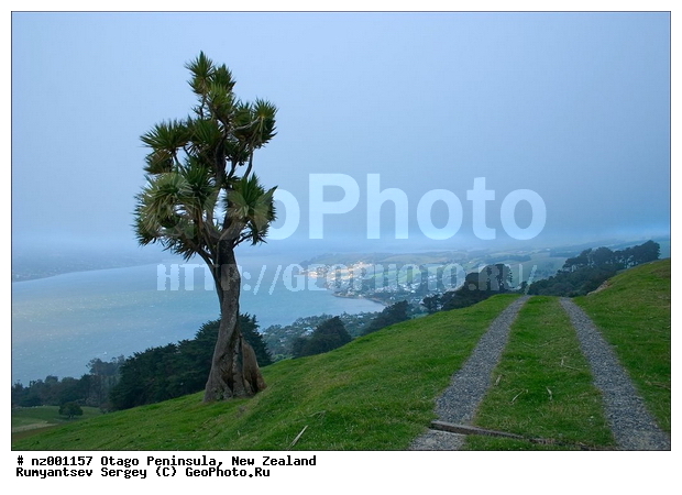 ����� ��������, �����, �����, ��������� ������, �����, ��������� ������, ���������� �����, �����, ����