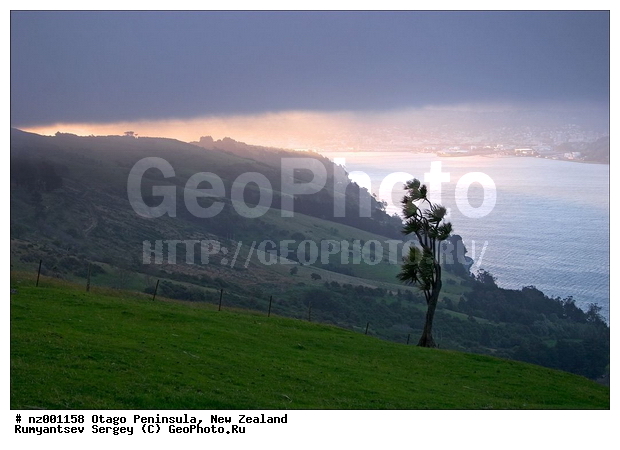 ����� ��������, �����, �������� �����, �����, �����, ��������� ������, ���������� �����, ����