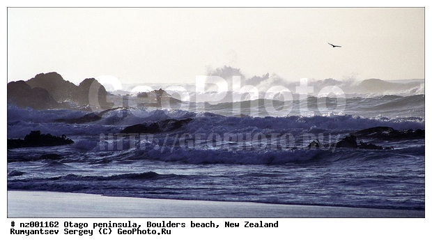 ����� ��������, ������� ����, �����, ����, ������, ����� � ����, ����, �����