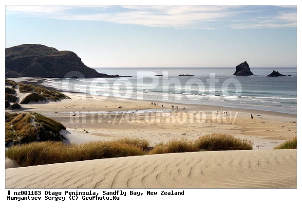 ����� ��������, ����� �����, ����, �����, �������� ����, ����, ���������, ��������� ������ ������, ���������� �����, �����