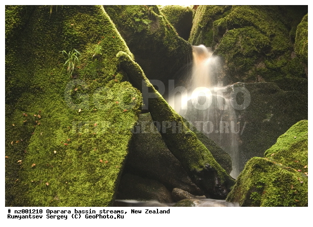 ����� ��������, �������, ����, �������, ���������� ����, ���, ������, ���, �����