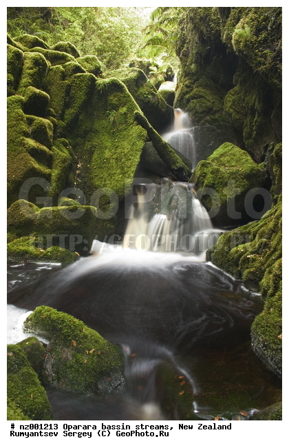 ����� ��������, �������, ����, �������, ���������� ����, ���, ������, ���, �����