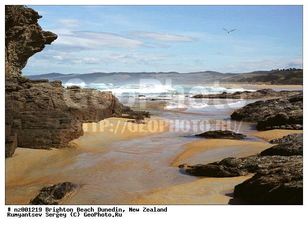 ����� ��������