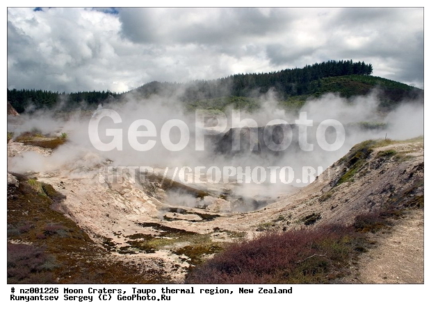 ������ �������, ����� ��������, �����, ������������� ������, ������, ������� ����, ���, ����, ������ ���������, ����������, ���������� ����