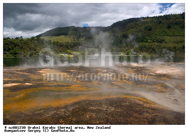 ����� ��������, ������������� ������, ������, ������� ����, ���, ����, ������ �����, ������ ���������, ����������, ���������� ����