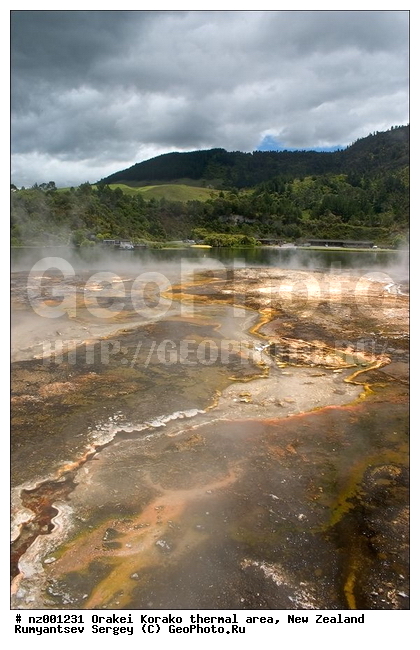 ����� ��������, ������������� ������, ������, ������� ����, ���, ����, ������ �����, ������ ���������, ����������, ���������� ����