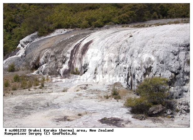 ����� ��������, ������������� ������, ������, ������� ����, ���������� ���������, ���, ����, ������ �����, ������ ���������, ����������, ���������� ����