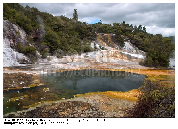 ����� ��������, ������������� ������, ������, ������� ����, ���, ����, ������ �����, ������ ���������, ����������, ���������� ����