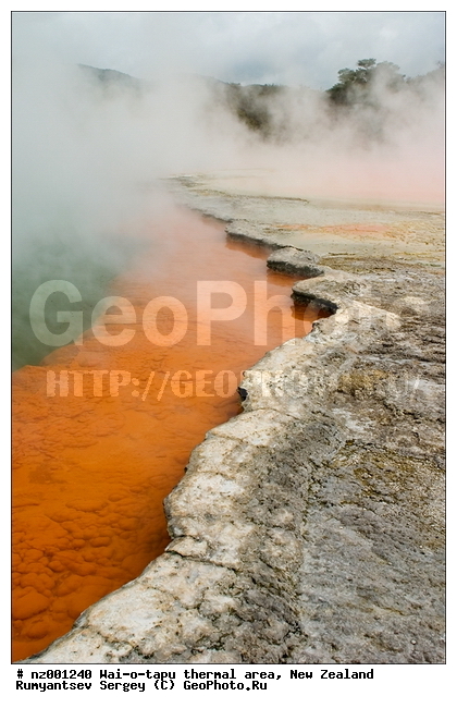 Wai-o-tapu ������������ ����, ������ �����������, ����� ��������, �������, ������� �����������, ������������� ����, ������������� �����, ������, ������� ����, ������, �����, ���, ����, ������ ���������, ����������