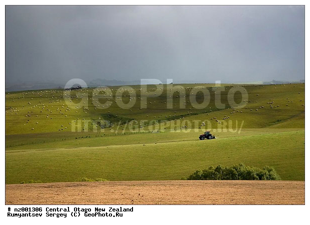 ����� ��������, ����������� �����, ����, �������� ������